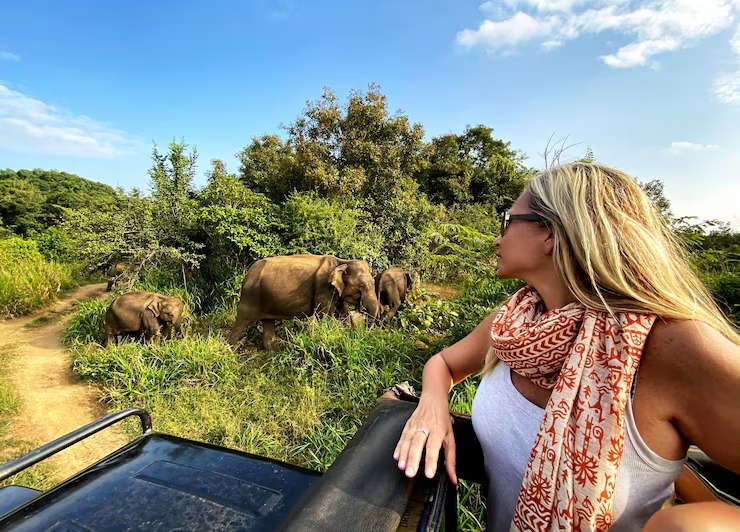 Rwanda Travel Guide for a Dream Africa Vacation Rwanda travel guide